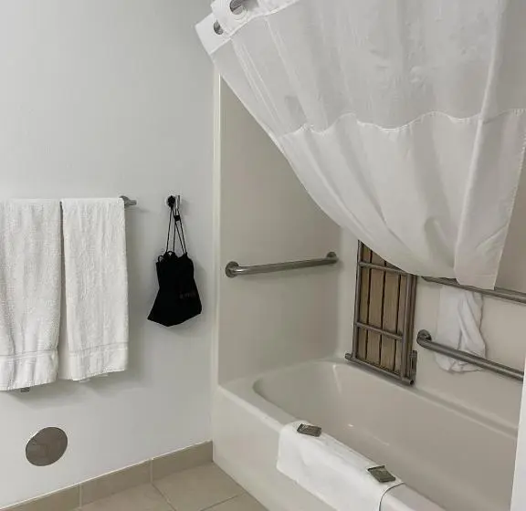 اتاق استاندارد برای معلولان, Harmony Inn & Suites