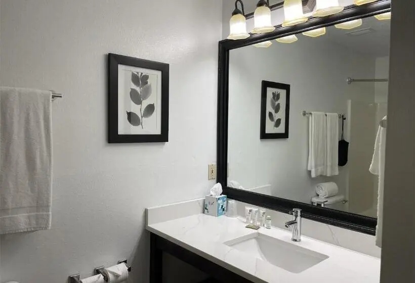 اتاق لوکس با تخت بزرگ, Harmony Inn & Suites