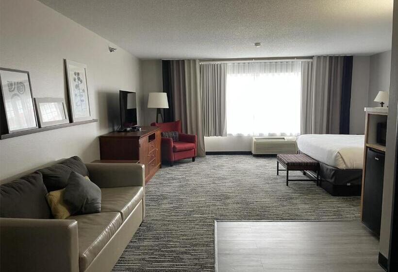 غرفة ديلوكس سرير كينج, Harmony Inn & Suites