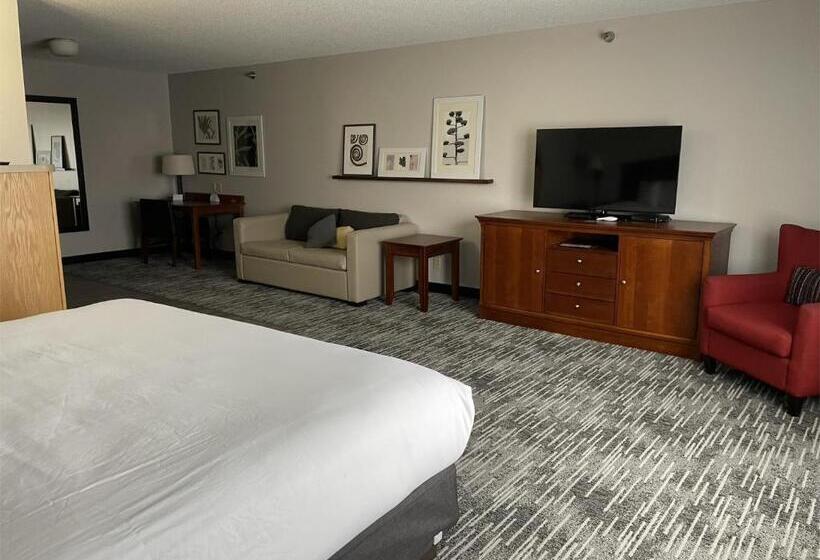 غرفة ديلوكس سرير كينج, Harmony Inn & Suites