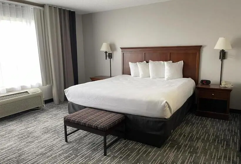 اتاق لوکس با تخت بزرگ, Harmony Inn & Suites
