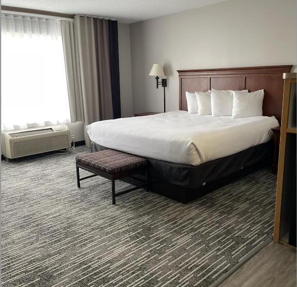 غرفة ديلوكس سرير كينج, Harmony Inn & Suites