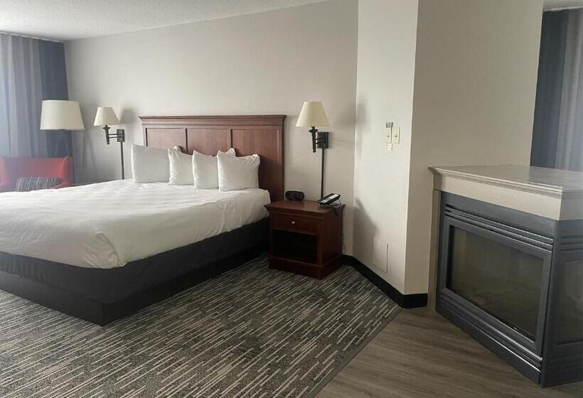 جناح ديلوكس سرير كينج, Harmony Inn & Suites