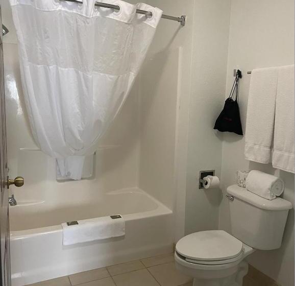 جناح ديلوكس سرير كينج, Harmony Inn & Suites