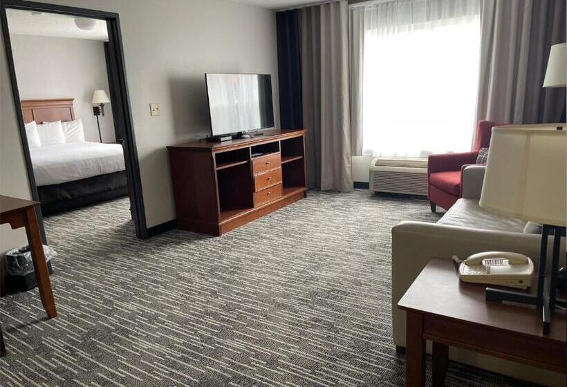 غرفة سوبيريور سرير كينج, Harmony Inn & Suites