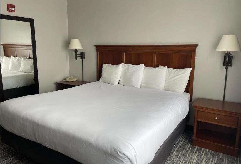 غرفة سوبيريور سرير كينج, Harmony Inn & Suites