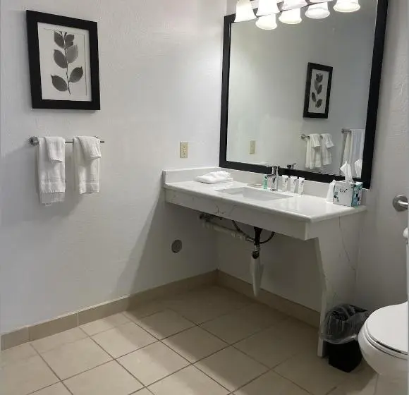 اتاق سوپریور با تخت بزرگ, Harmony Inn & Suites