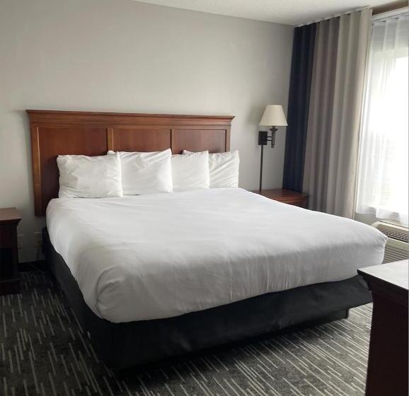 غرفة سوبيريور سرير كينج, Harmony Inn & Suites