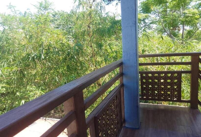 اتاق خانوادگی, Mischa S Hostel