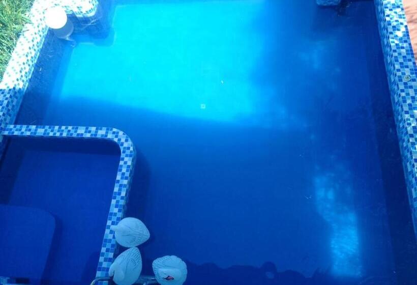 اتاق خانوادگی, Mischa S Hostel