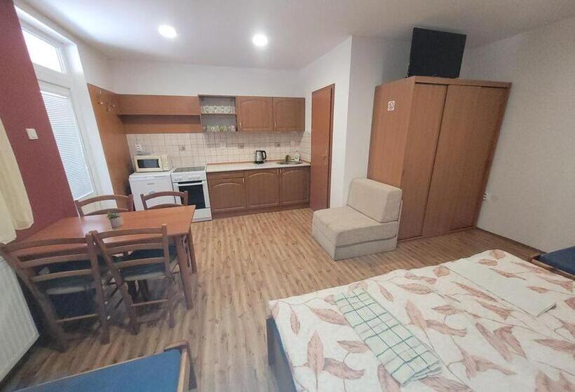 חדר סטנדרט לארבעה, Alenka