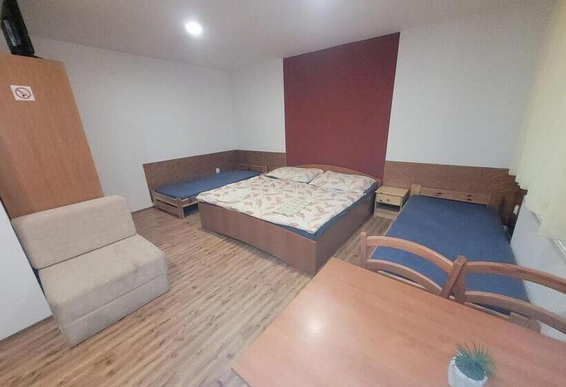 חדר סטנדרט לארבעה, Alenka