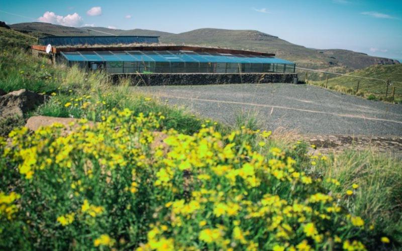 سرير فى غرفة مشتركه, Afri Adventure Backpackers