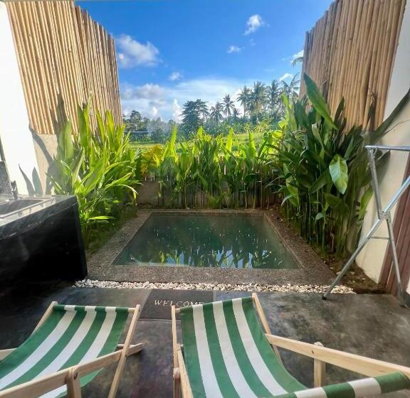 اتاق کلاسیک چهارنفره, Hakuna Villas