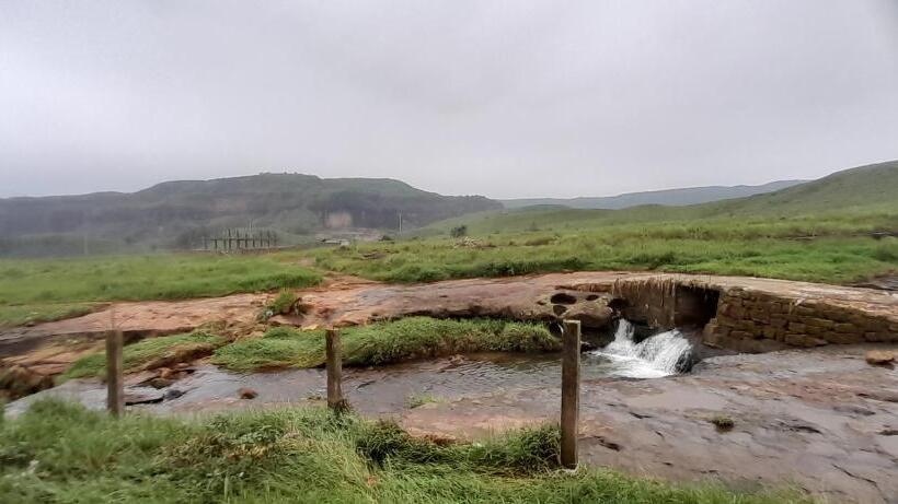 标准间, Clouded Leo Inn