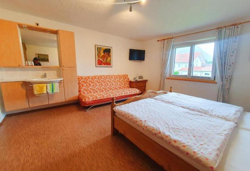 Трехместный Номер Комфорт, Dwingelo Lütten Angela Brandstätter Hof