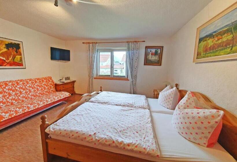 Трехместный Номер Комфорт, Dwingelo Lütten Angela Brandstätter Hof