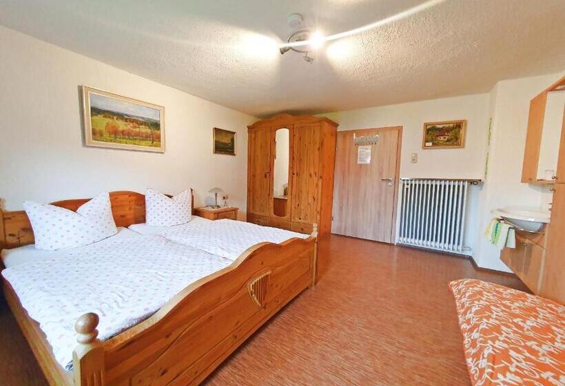 Трехместный Номер Комфорт, Dwingelo Lütten Angela Brandstätter Hof