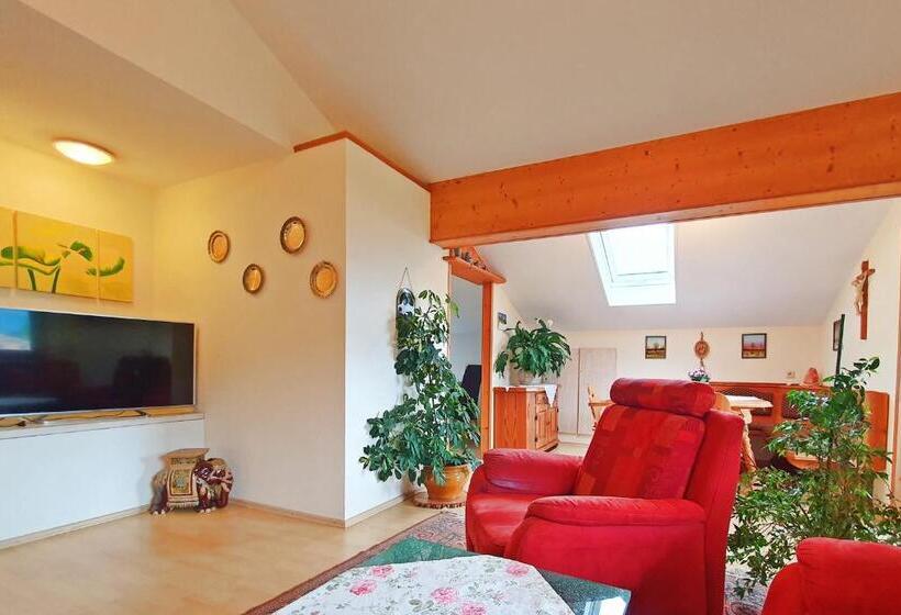 Апартаменты 1 Спальня с Балконом, Dwingelo Lütten Angela Brandstätter Hof