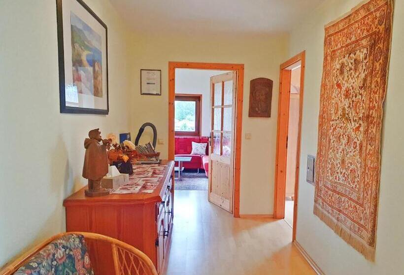 Апартаменты 1 Спальня с Балконом, Dwingelo Lütten Angela Brandstätter Hof