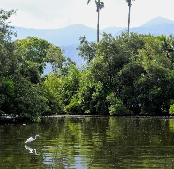 Номер Deluxe, Espaço álacre Paraty