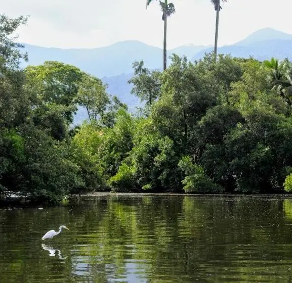 デラックスルーム, Espaço álacre Paraty