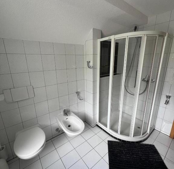 غرفة قياسية فردية حمام مشترك, Haus Biasca