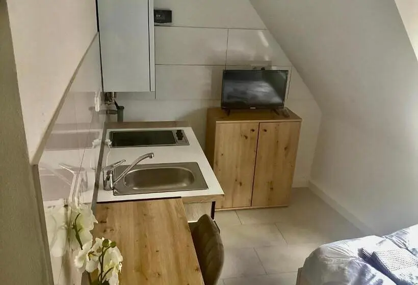 Standard Yhden Hengen Huone, Er Is Zimmervermietung