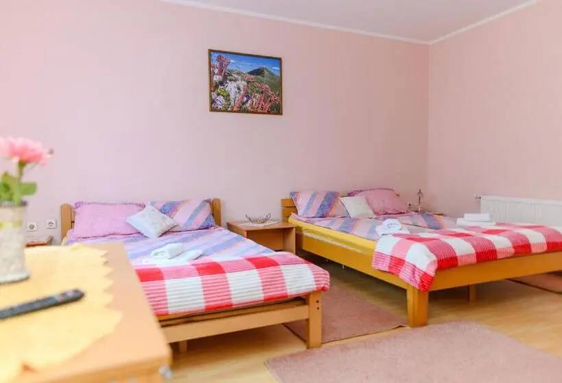استودیو استاندارد با بالکن, Vila Misljenovic, U Centru Sokobanje, Na Pesackoj Zoni
