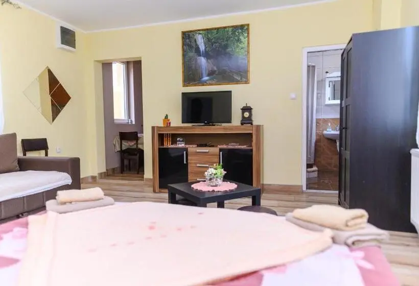 استودیو استاندارد با تراس, Vila Misljenovic, U Centru Sokobanje, Na Pesackoj Zoni