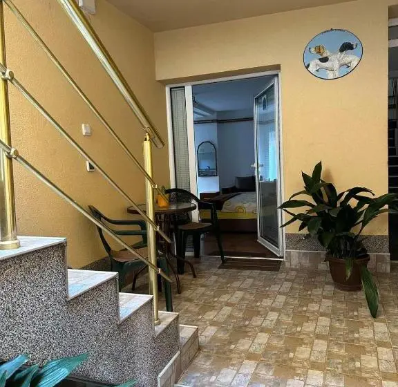 استودیو خانوادگی, Vila Misljenovic, U Centru Sokobanje, Na Pesackoj Zoni