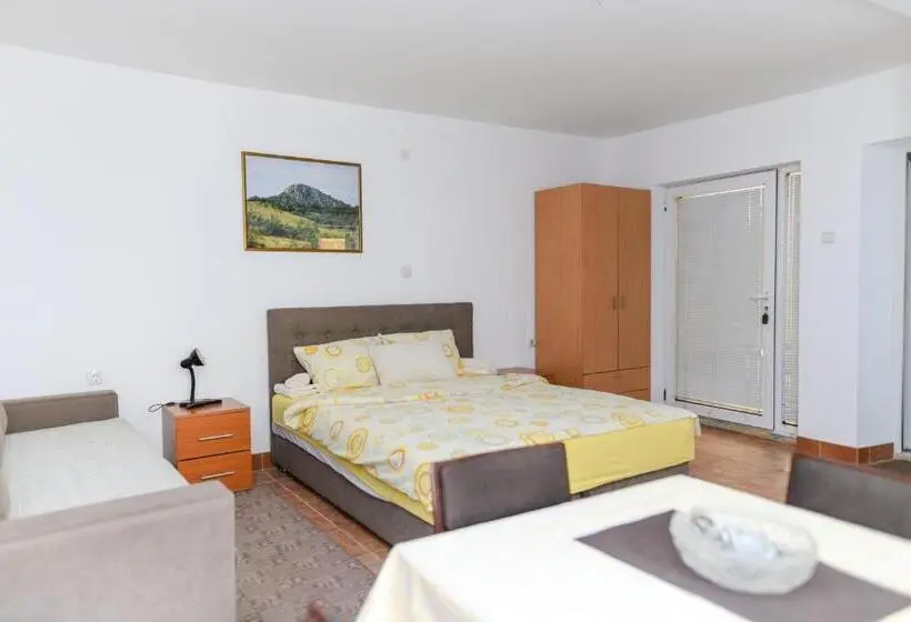 استودیو خانوادگی, Vila Misljenovic, U Centru Sokobanje, Na Pesackoj Zoni