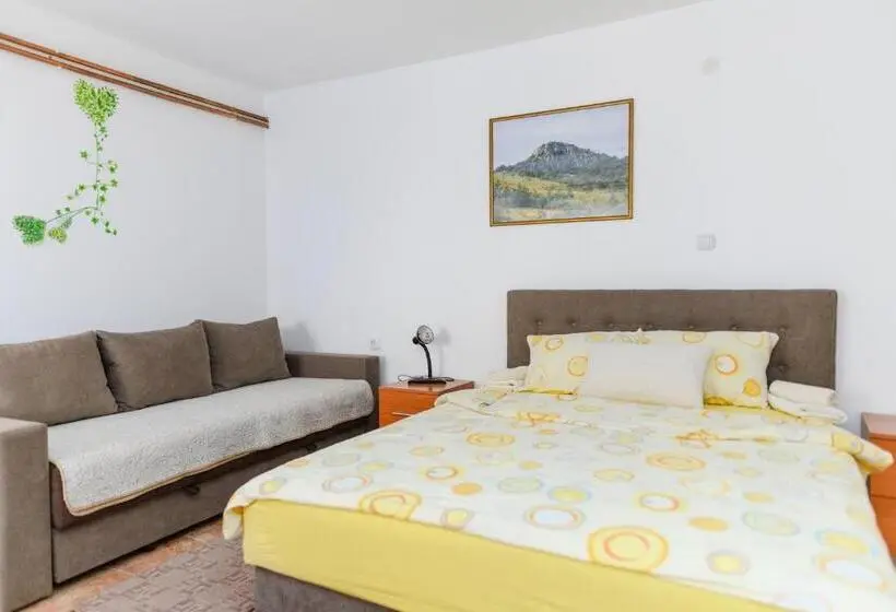 استودیو خانوادگی, Vila Misljenovic, U Centru Sokobanje, Na Pesackoj Zoni