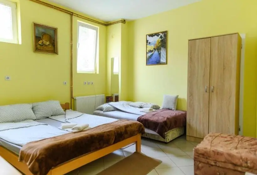 استودیوی استاندارد, Vila Misljenovic, U Centru Sokobanje, Na Pesackoj Zoni