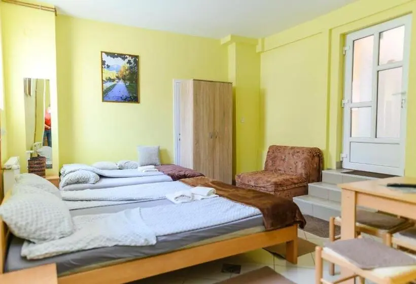استودیوی استاندارد, Vila Misljenovic, U Centru Sokobanje, Na Pesackoj Zoni