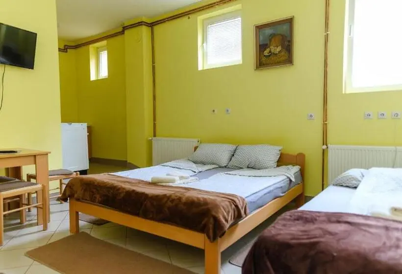 استودیوی استاندارد, Vila Misljenovic, U Centru Sokobanje, Na Pesackoj Zoni