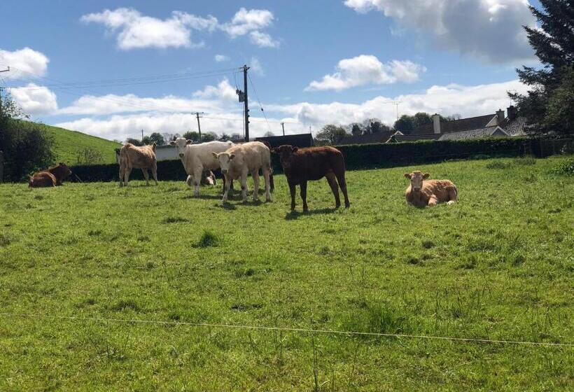 Номер Стандарт, Glendale House