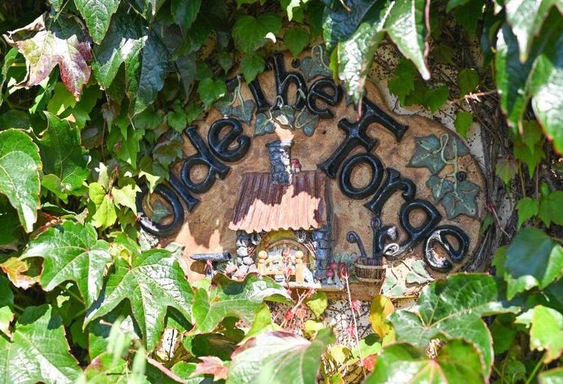 غرفة قياسية مطلّة علي البحر, Ocean Breeze Cottage