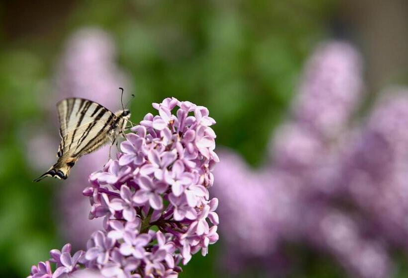 Номер Стандарт, Agriturismo La Molina