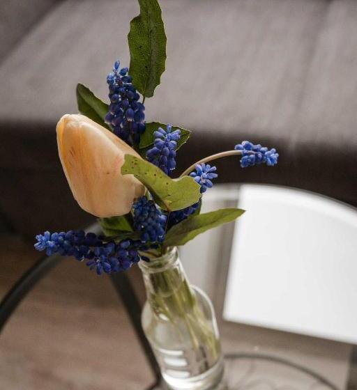 デラックスルーム, Farma Tasov