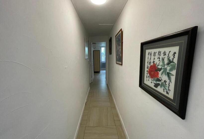 Apartament 1 Dormitor, Le Doolie S Hostel B&b