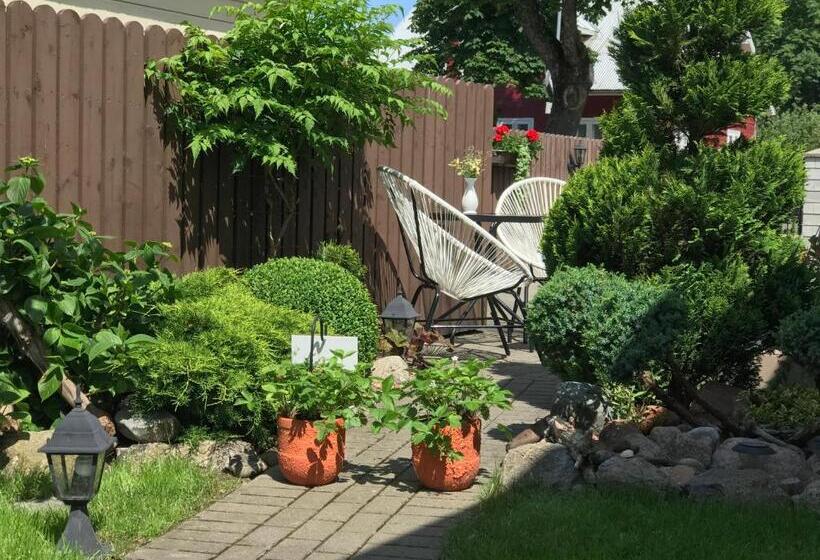 اتاق استاندارد اینتریور, Užupė