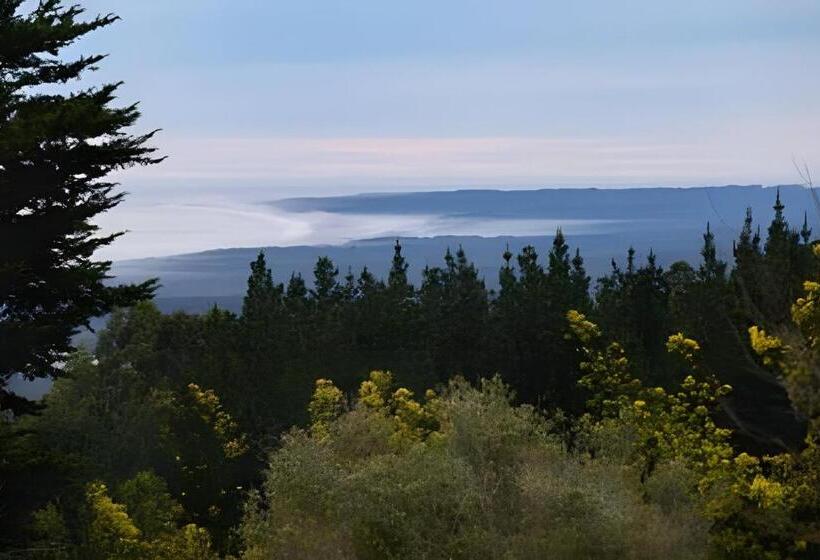 Дом 1 Спальня, Cabaña En La Costa De Pelluhue