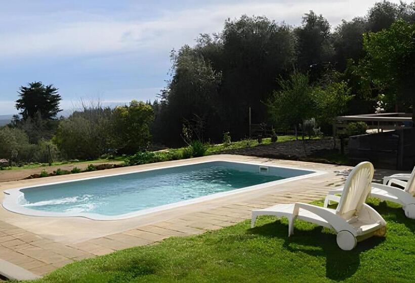 Дом 1 Спальня, Cabaña En La Costa De Pelluhue