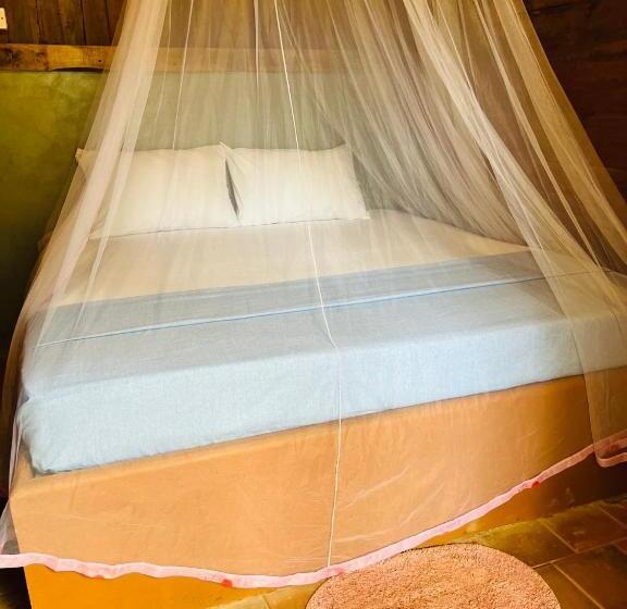 이코노미 룸, Cool Banyan Cabana