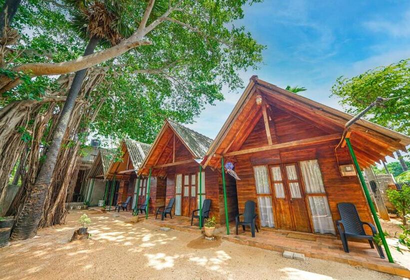 수피리어 룸, Cool Banyan Cabana