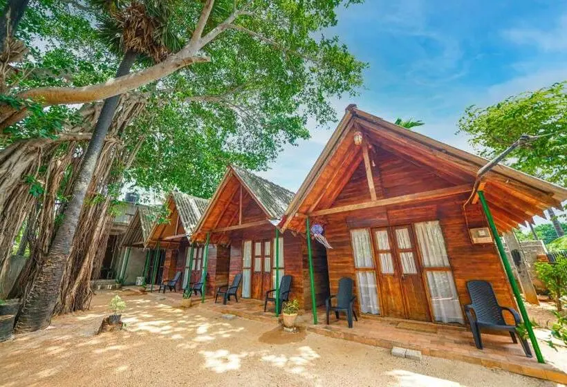 Superior-huone, Cool Banyan Cabana