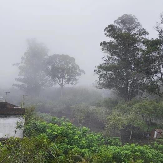 Люкс, Kb House Kodaikanal