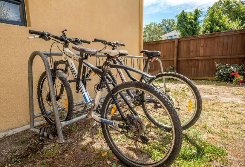 سرير فى غرفة مشتركه, Kakapo Lodge