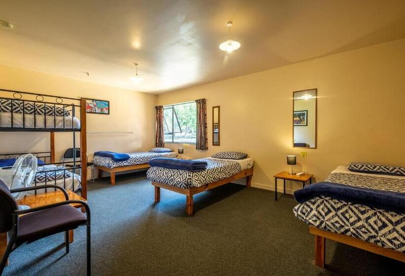 سرير فى غرفة مشتركه, Kakapo Lodge